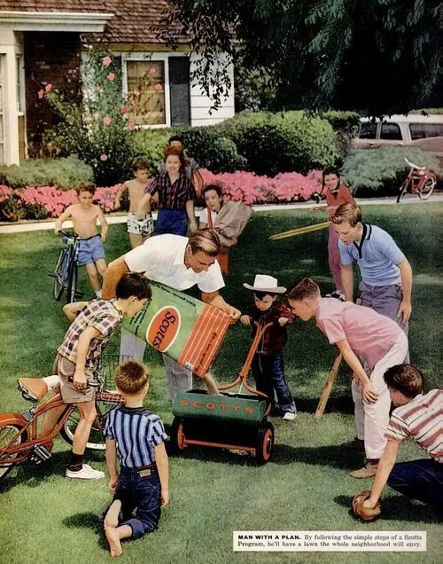Backyards Used to Buzz With Life. Now They're Just Grass Nobody Sits On.