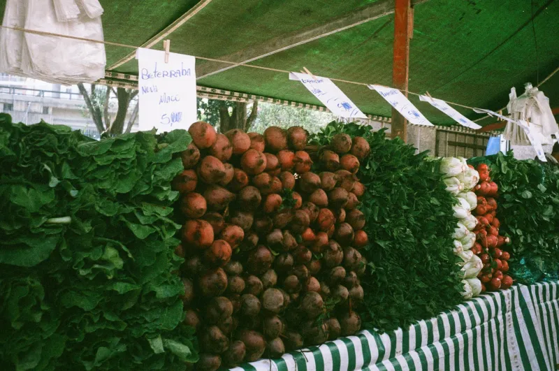 The Farmer Had a Name and You Knew It: How America's Food Lost Its Human Face